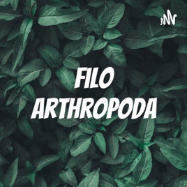 Filo Arthropoda