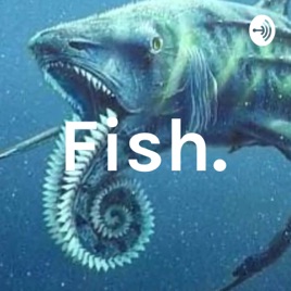 Fish.