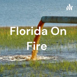 Florida On Fire