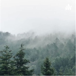 Foggy Tales
