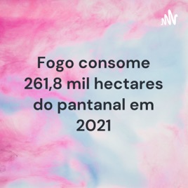 Fogo consome 261,8 mil hectares do pantanal em 2021