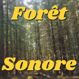 Forêt Sonore