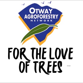For The Love Of Trees