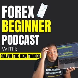 Forex Beginner Podcast | Daily Trader Motivation & Encouragement