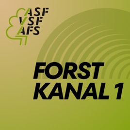 Forstkanal 1