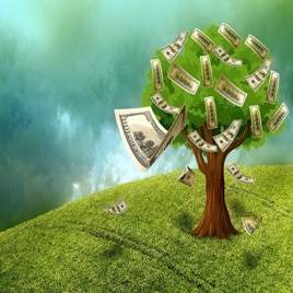 Fortune Rule of Wealth