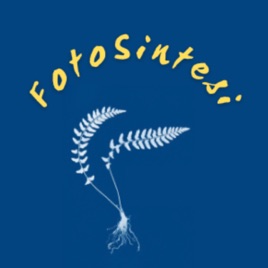 FotoSintesi