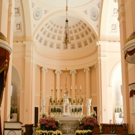 Fr. James's Homilies