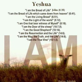 Freaks for YHWH