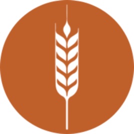 From the Field: Farm Chat with Idaho Wheat