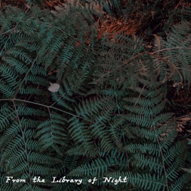 From the Library of Night