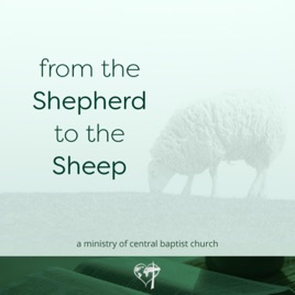 From the Shepherd to the Sheep