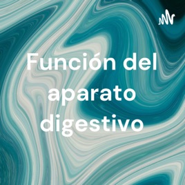 Función del aparato digestivo