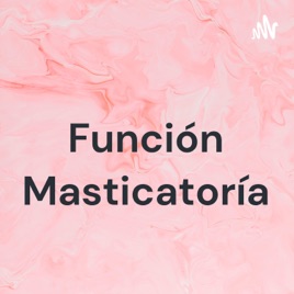 Función Masticatoría