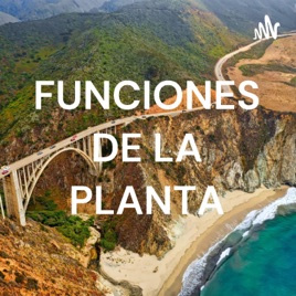 FUNCIONES DE LA PLANTA