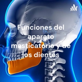 Funciones del aparato masticatorio y de los dientes
