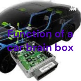 Function of a car brain box
