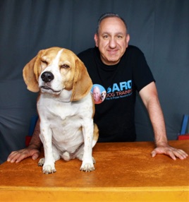 Functional Dog Training