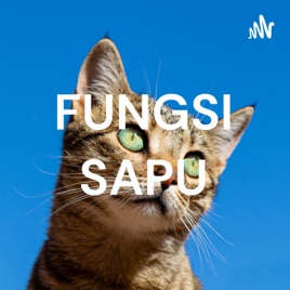FUNGSI SAPU