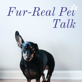 Fur-Real Pet Talk