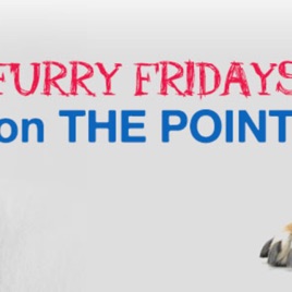 Furry Fridays on the Point