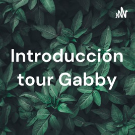 Introducción tour Gabby