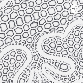 Gajah Ngamoek