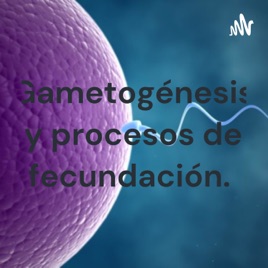 Gametogénesis y procesos de fecundación.