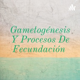 Gametogénesis Y Procesos De Fecundación