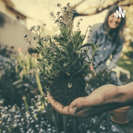 Gardening Basics