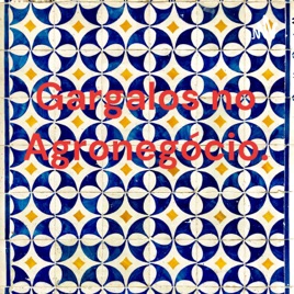 Gargalos no Agronegócio.