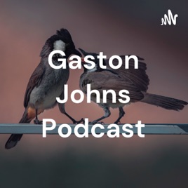 Gaston Johns Podcast