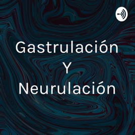 Gastrulación Y Neurulación