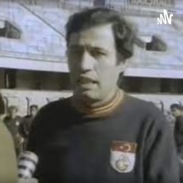 Aslan Gibi