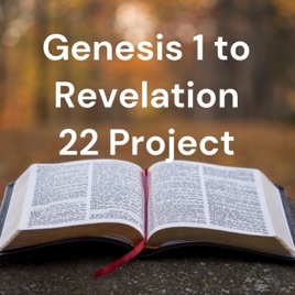 Genesis 1 to Revelation 22 Project