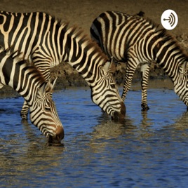 Genetic Variation and the types of variation