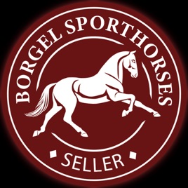 Gepflegter Reitsport