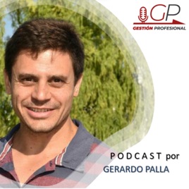 Gestión Profesional