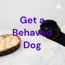 Get a Behaved Dog