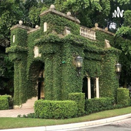 Go Green