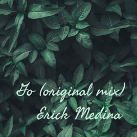Go (original mix) Erick Medina