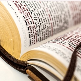 Grace Bible Church Grandville Sermons