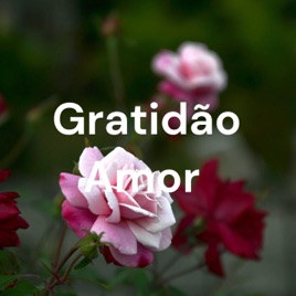 Gratidão Amor 💘