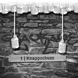 Graukaue 1 | Knappschuss