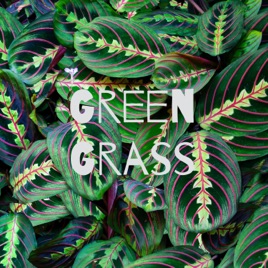 Green Grass