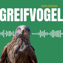 Greifvogel Geflüster