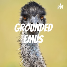 Grounded Emus