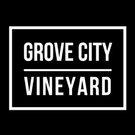 Grove City Vineyard Sermon Podcast