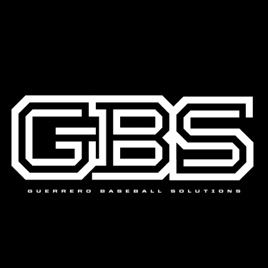 Guerrero Baseball Solutions