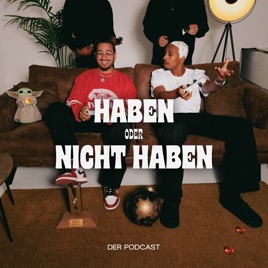 Haben oder nicht Haben